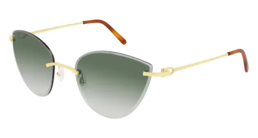 CT0003RS-001.jpg