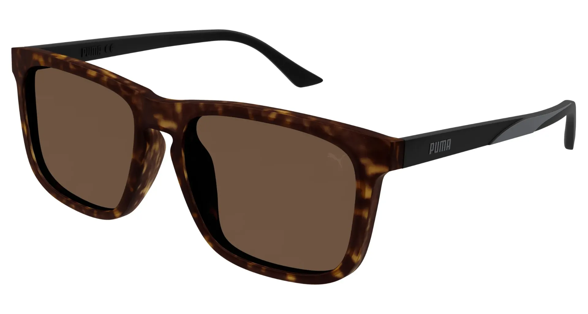 Havana Black Brown