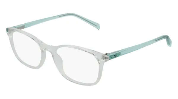 PJ0031o.jpg?rlkey=mv9jr9dpb7fxb3pv759bx9oam&dl=1