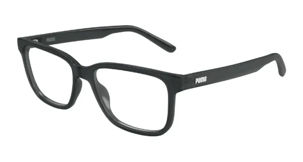 PU0530o.jpeg?rlkey=fsuzlqgb31czmcivoghjdu6xg&dl=1