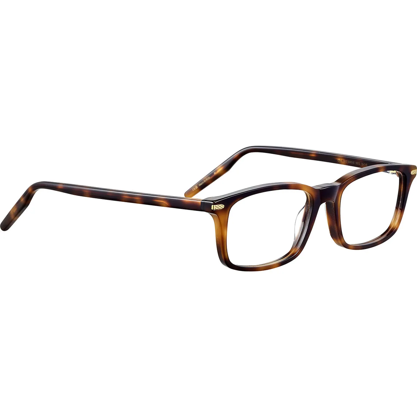 Shiny Tortoise Havana