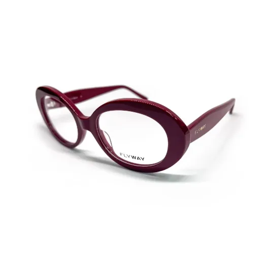 FLYWAY Optical