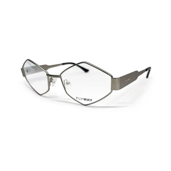 FLYWAY Optical
