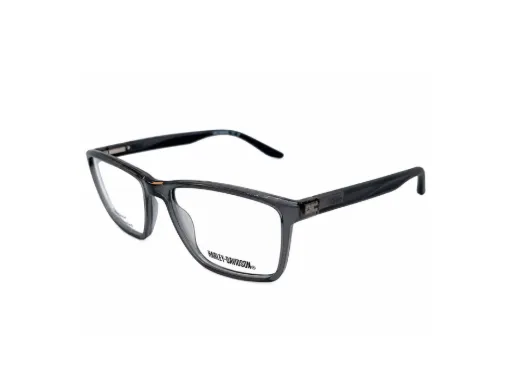 HARLEY DAVIDSON Optical
