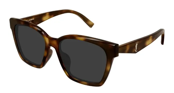SAINT LAURENT Sunglasses Havana Havana Grey