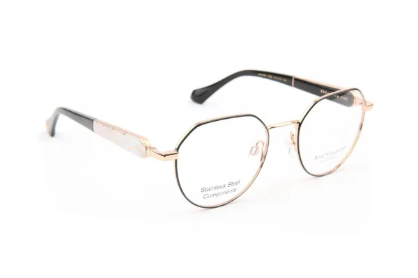 ANA HICKMANN Optical Champaign Goldmatt Black/Black/