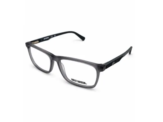 HARLEY DAVIDSON Optical
