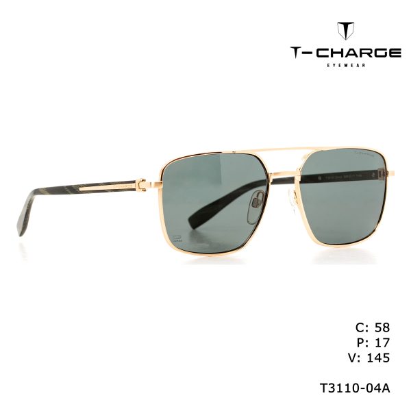 T-CHARGE Sunglasses Gold/Polarized