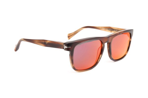 T-CHARGE Sunglasses Brown Stripe/POLARIZED