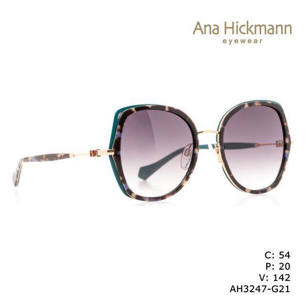 ANA HICKMANN SUNGLASSES OUTSIDE