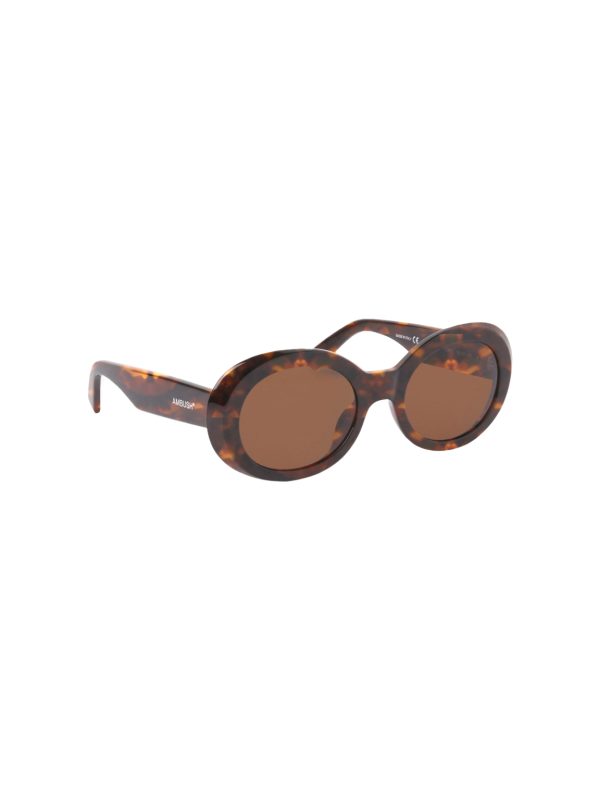AMBUSH Sunglasses Kurt Havana Brown/