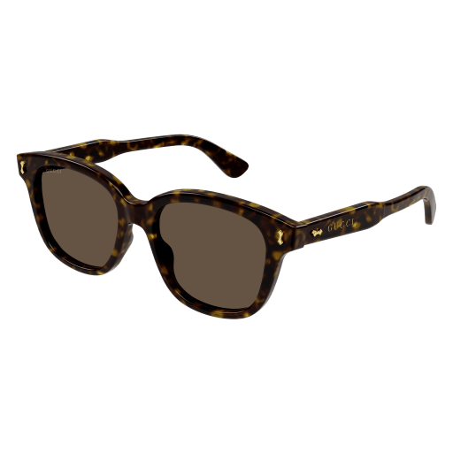 GUCCI Sunglasses Havana Havana Brown/