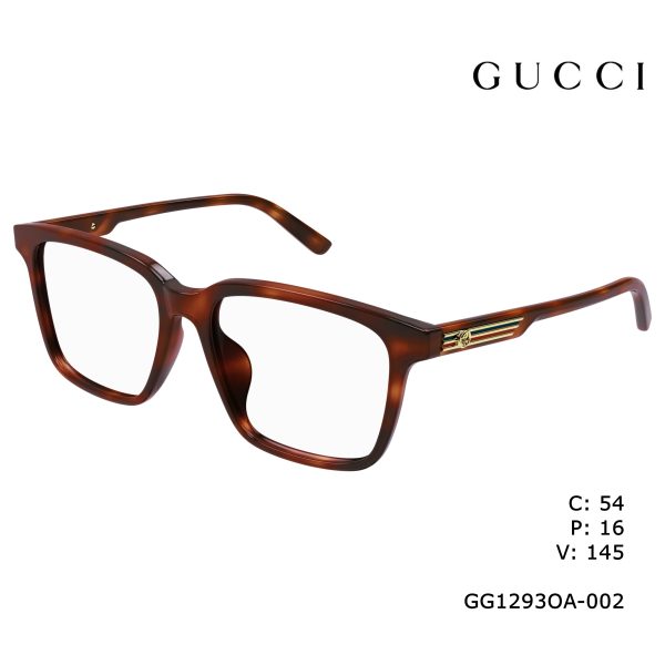 GUCCI Optical Havana Havana/