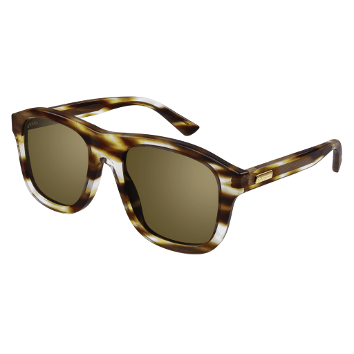 GUCCI Sunglasses Havana Havana Bronze/