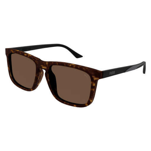 PUMA Sunglasses Havana Black Brown/