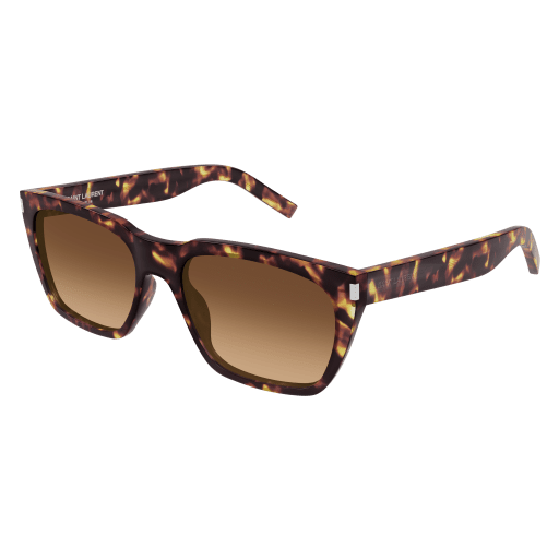 SAINT LAURENT Sunglasses Havana Havana Brown/GRADIENT(DOUBLE)