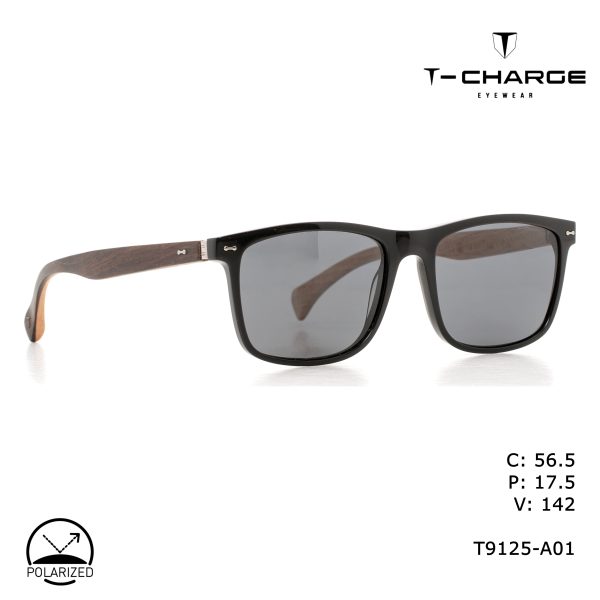 T-CHARGE Sunglasses Black/Polarized