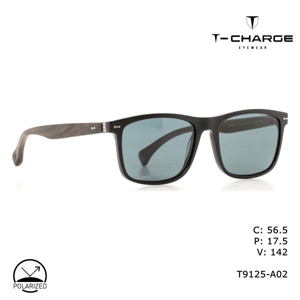 T-CHARGE Sunglasses Black/Polarized