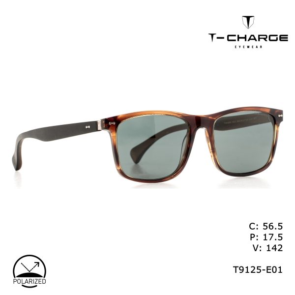 T-CHARGE Sunglasses Tea Stripe/Polarized