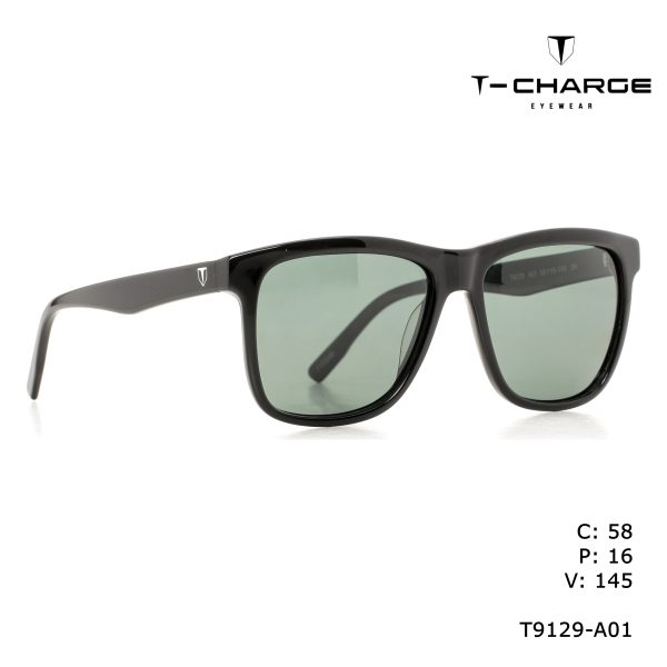 T-CHARGE Sunglasses Black/Polarized