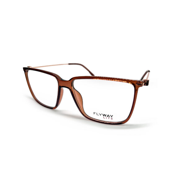 FLYWAY Optical Brown/Gold/
