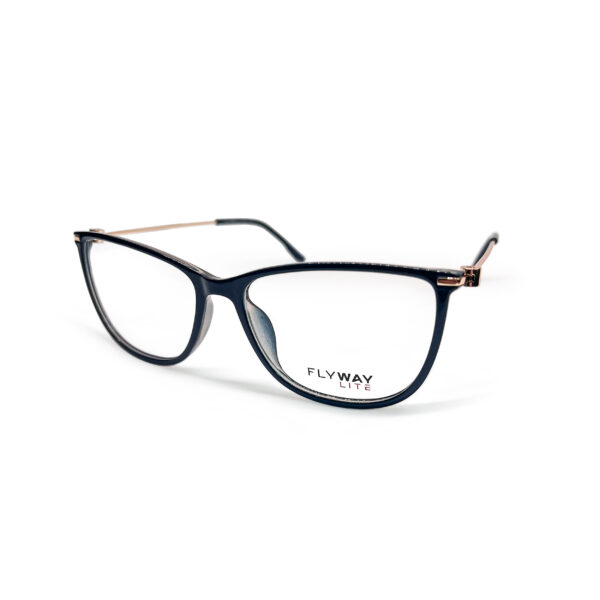 FLYWAY Optical Blk/Brown/Gold/