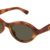 Havana Havana Brown 2